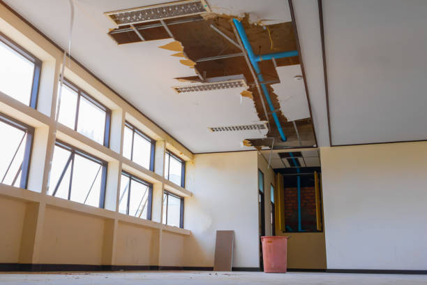 Best Water damage cleanup near me  in Seeley Lake, MT