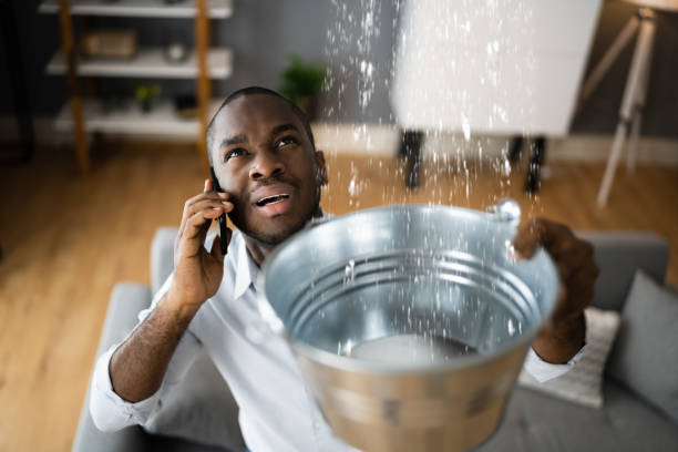 Best Water damage cleanup near me  in Seeley Lake, MT