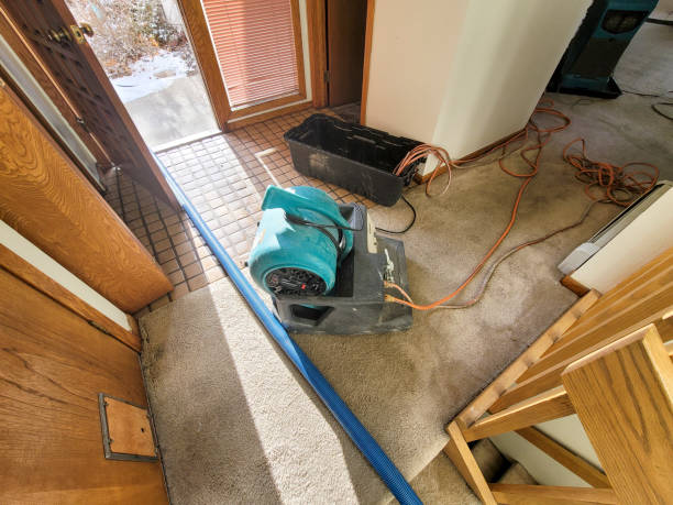 Best 24/7 water damage repair  in Seeley Lake, MT