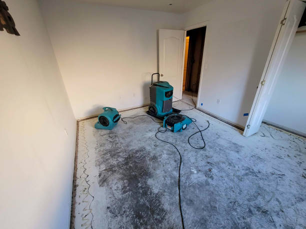 Best Flooded house restoration  in Seeley Lake, MT