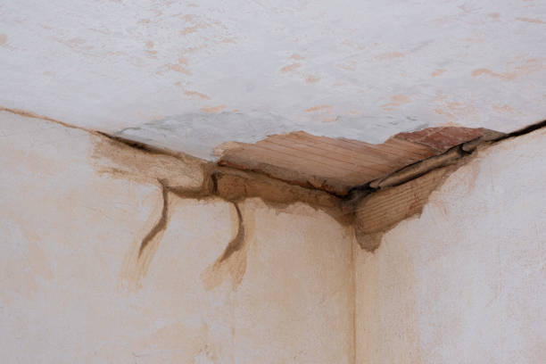 Best Water damage restoration process  in Seeley Lake, MT