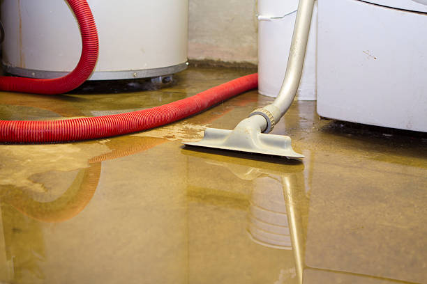 Best 24-hour water damage restoration  in Seeley Lake, MT