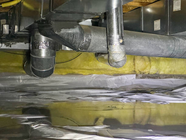 Best Local water damage restoration  in Seeley Lake, MT