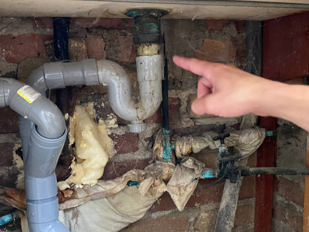 Best Flood damage cleanup  in Seeley Lake, MT