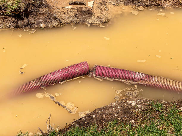 Best Emergency water damage restoration  in Seeley Lake, MT