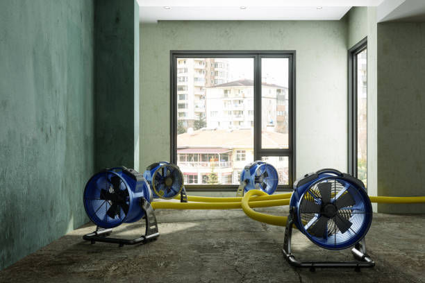 Best Fire Damage Restoration  in Seeley Lake, MT