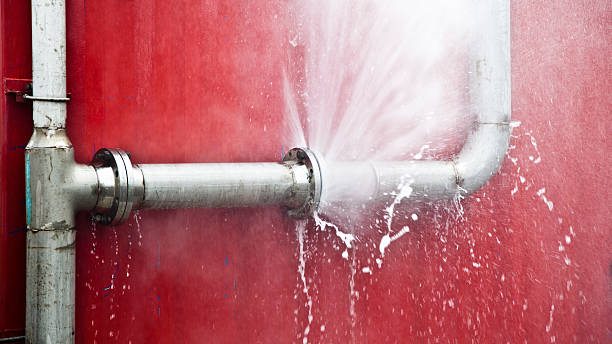 Best Professional water damage repair  in Seeley Lake, MT